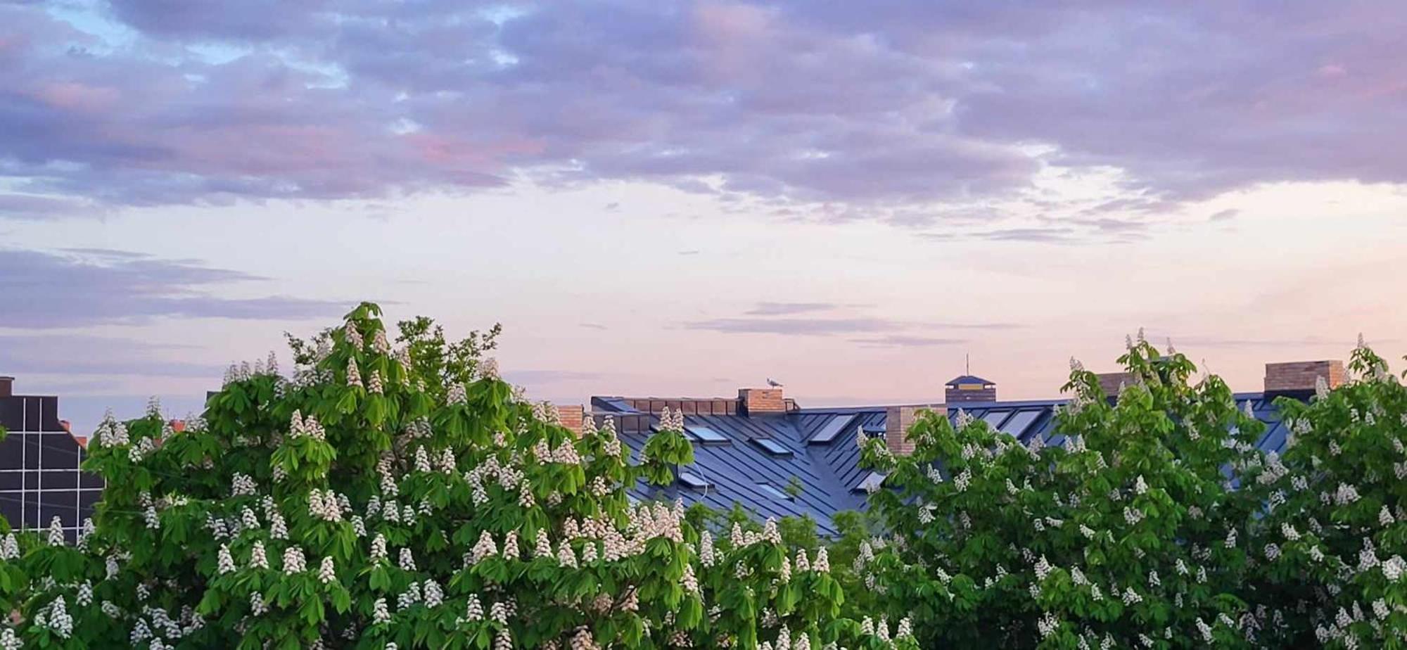 Riga Centre Sun Apartments المظهر الخارجي الصورة